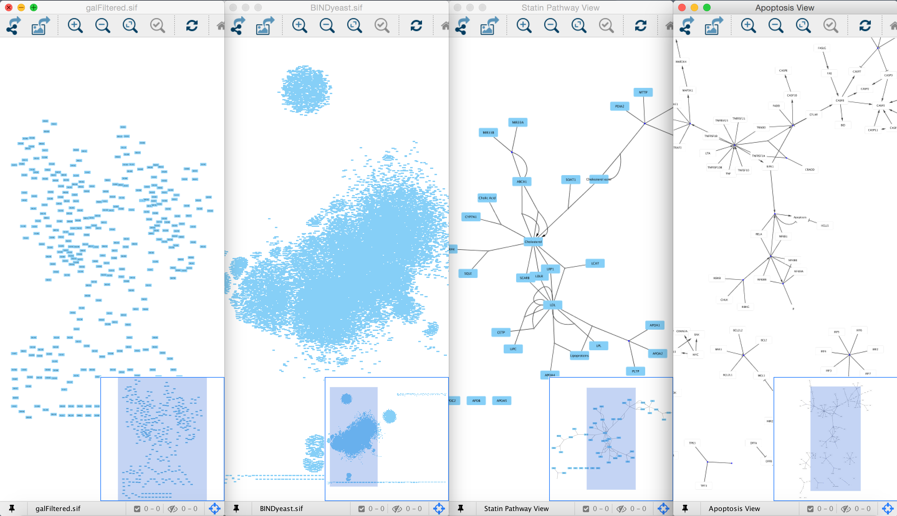 gpu for large cytoscape networks