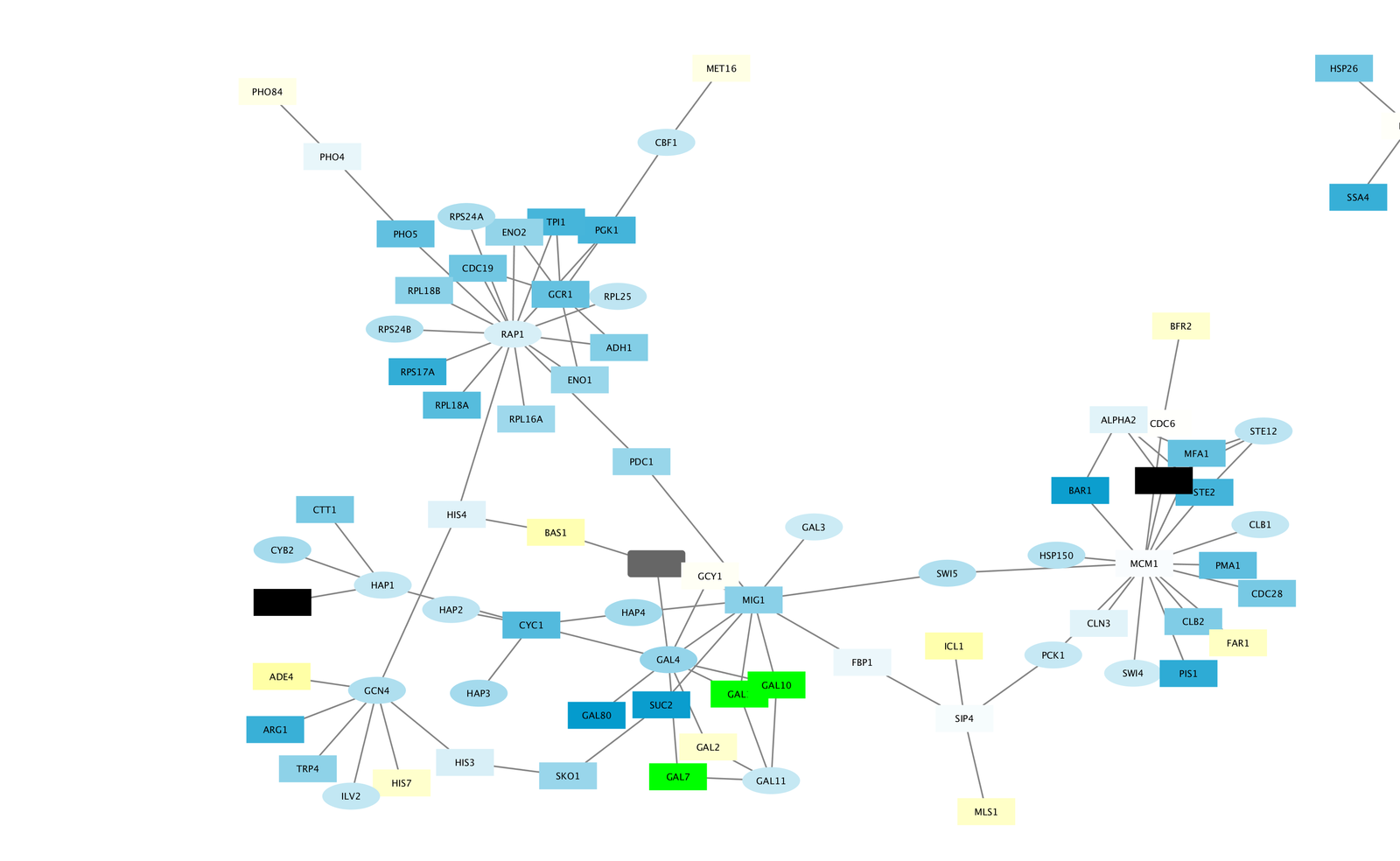 cytoscape directed graph