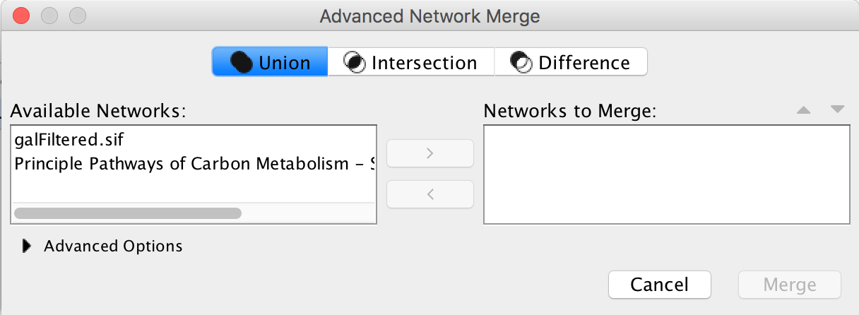 Advanced NetworkMerge